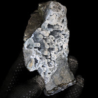 Rare Coral Chalcedony Crystal 290g Botryoidal Mineral Specimen India