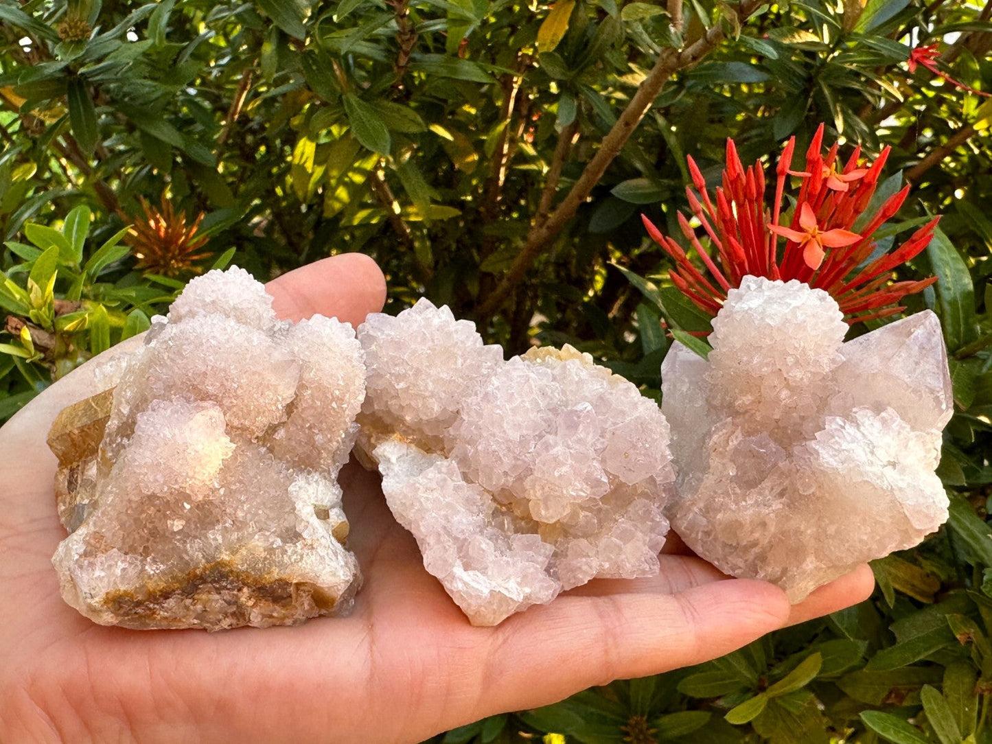 Grade A++Spirit Quartz Clusters,Natural Spirit Quartz Crystals, Porcupine Quartz