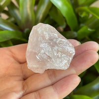 Rose Quartz Rough Natural Stones, 1.25-2" Raw Rose Quartz, Wholesales Bulk Lot