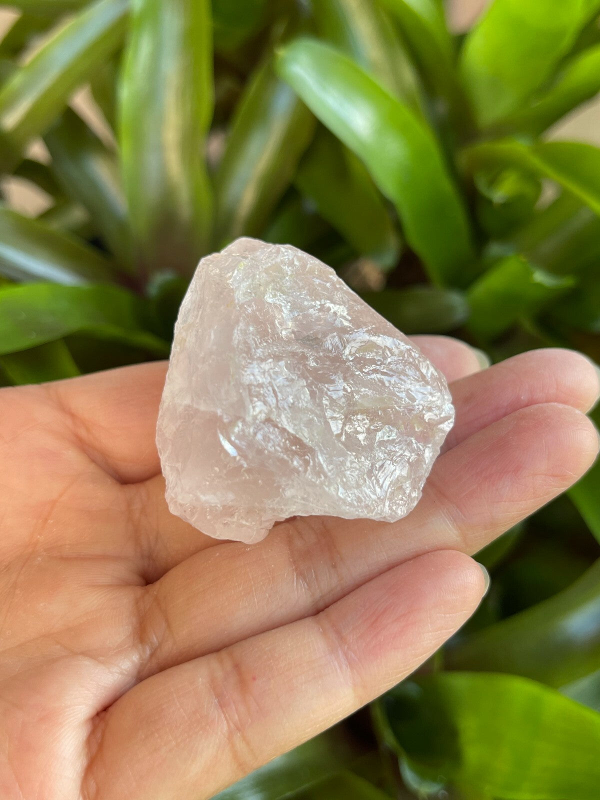 Rose Quartz Rough Natural Stones, 1.25-2" Raw Rose Quartz, Wholesales Bulk Lot