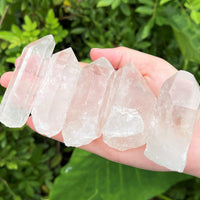 Clear Quartz Crystal Point (2" - 3") Natural Wand Specimen, Reiki Healing