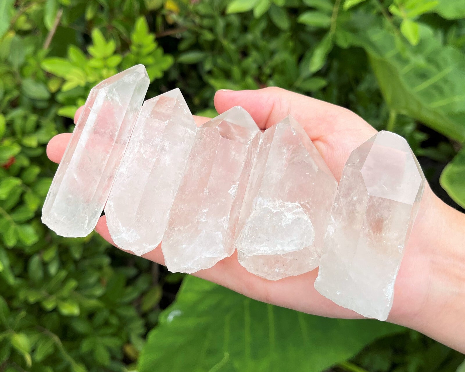 Clear Quartz Crystal Point (2" - 3") Natural Wand Specimen, Reiki Healing