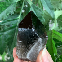 Extra Large Natural Smoky Quartz Crystal Points, 2-3 Inches Smoky Quartz Point