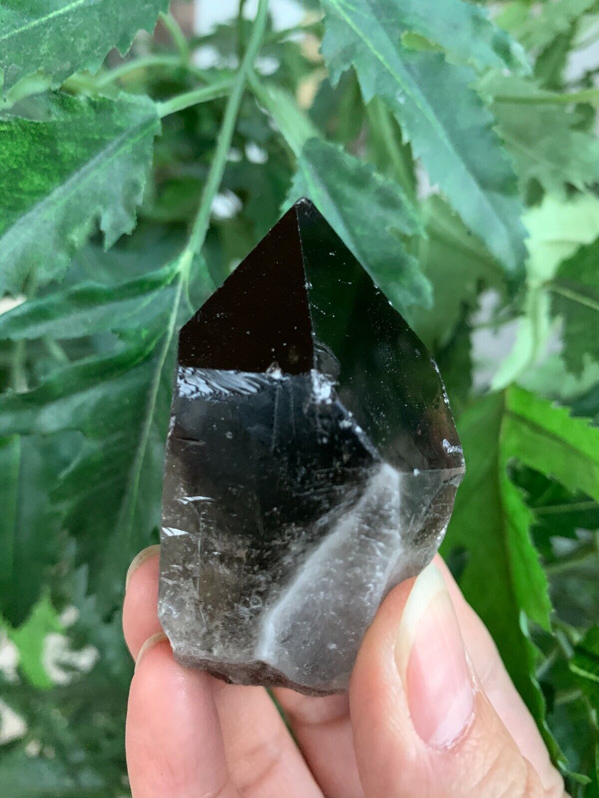 Extra Large Natural Smoky Quartz Crystal Points, 2-3 Inches Smoky Quartz Point