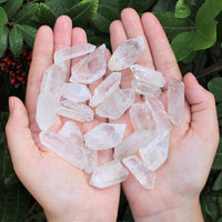 Clear Quartz Points Crystal Collection 1/2 Lb (8 oz) Natural Specimens in Box