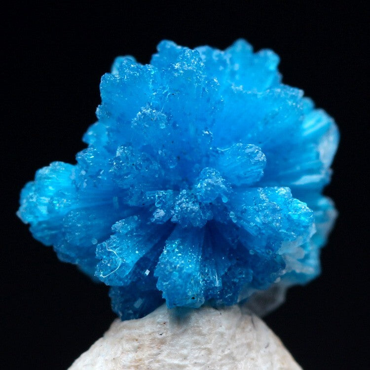 CAVANSITE STILBITE Specimen Blue Crystal Cluster Mineral INDIA w/ ID card