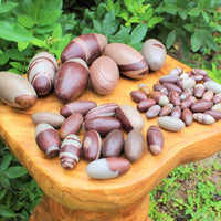 Lot of 10 Shiva Lingam Stones Medium 1.5 - 2"  Narmada River India Shiva Lingham