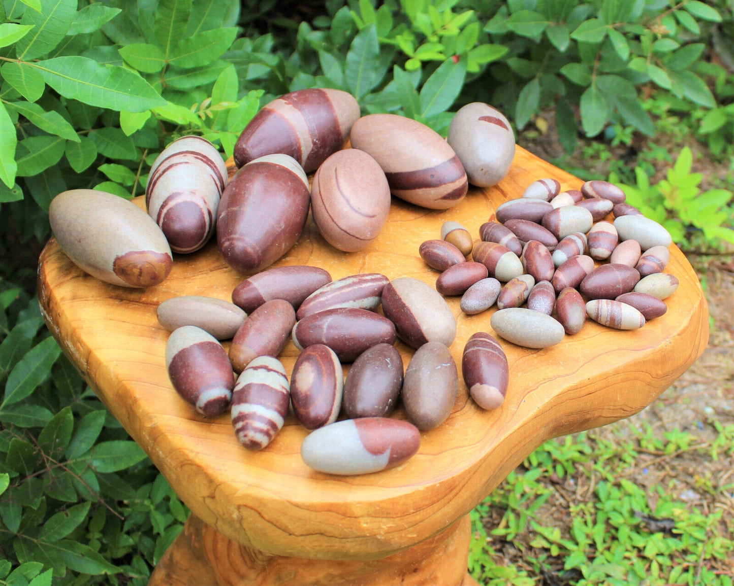 Lot of 10 Shiva Lingam Stones Medium 1.5 - 2"  Narmada River India Shiva Lingham