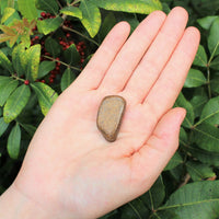 1 x Tumbled Stones : You Choose Type - Huge Range - ON SALE! (Crystal Healing)