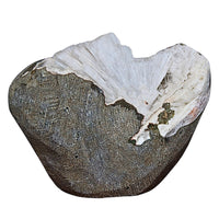 Scolecite Geode 176g Natural Radiating Needle Crystal Healing Stone India