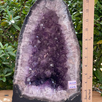X-Large Amethyst Cathedral, Amethyst Geode,Raw Amethyst Cluster, Pick a Weight