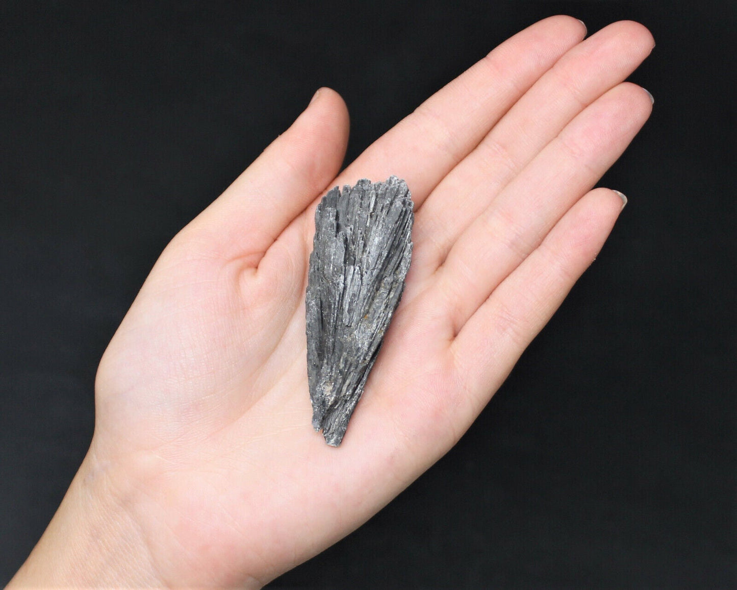 1 lb Black Kyanite Blades Fans: Natural Premium Quality Wholesale Bulk Lot 16 oz