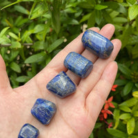 Grade A++ Lapis Lazuli Tumbled Stone, 0.65-1.5 Inch Lapis Crystal,Wholesale Bulk