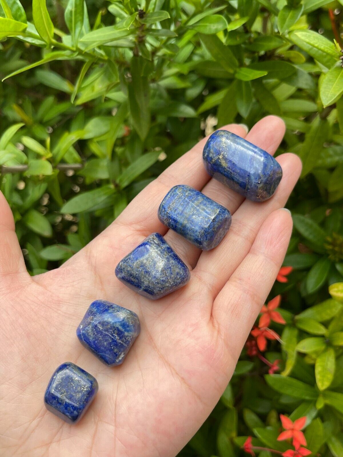 Grade A++ Lapis Lazuli Tumbled Stone, 0.65-1.5 Inch Lapis Crystal,Wholesale Bulk