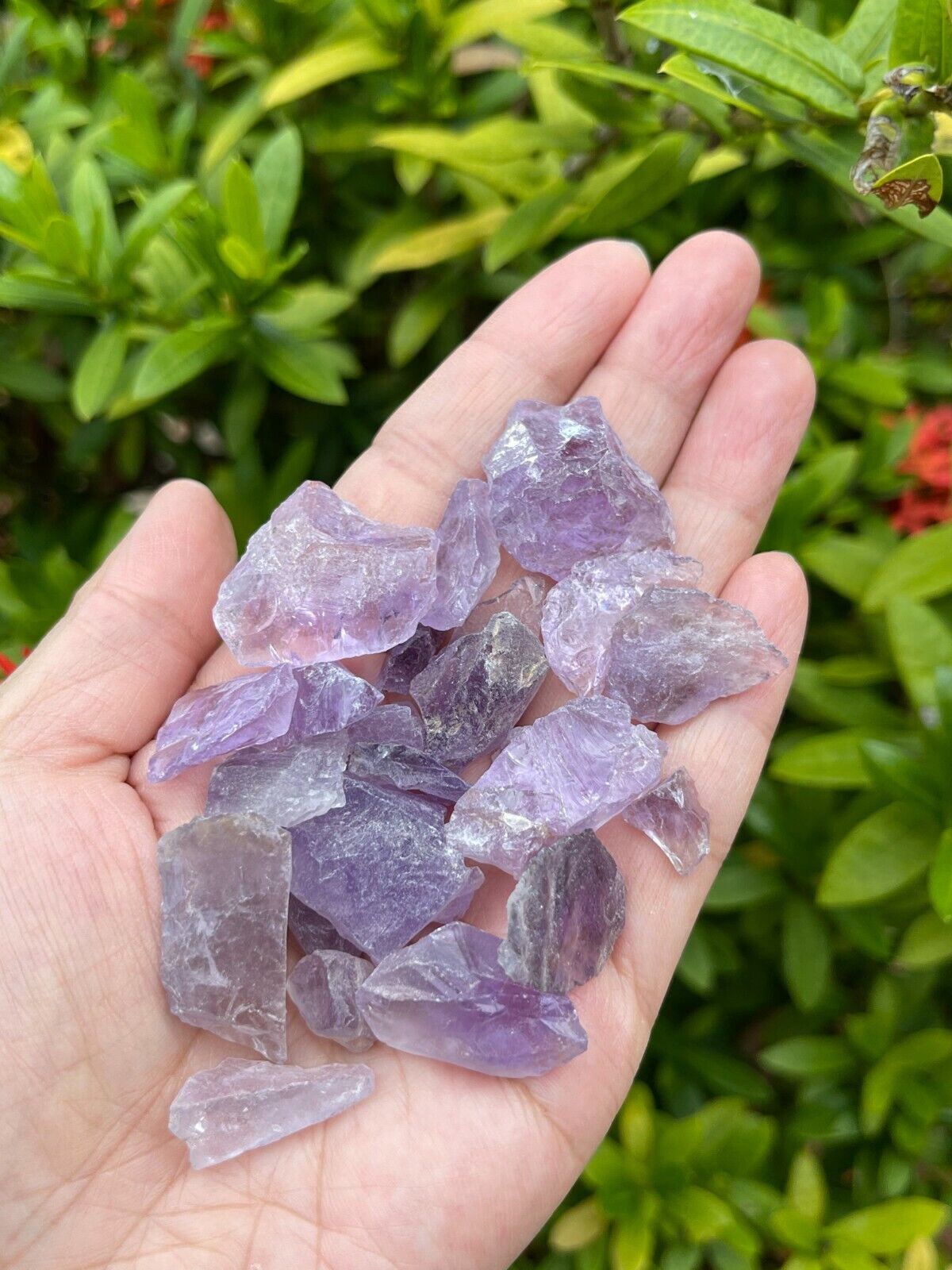 Grade A++ Small Raw Amethyst, 0.5-1" Natural Amethys Chip, Wholesale Bulk Lot