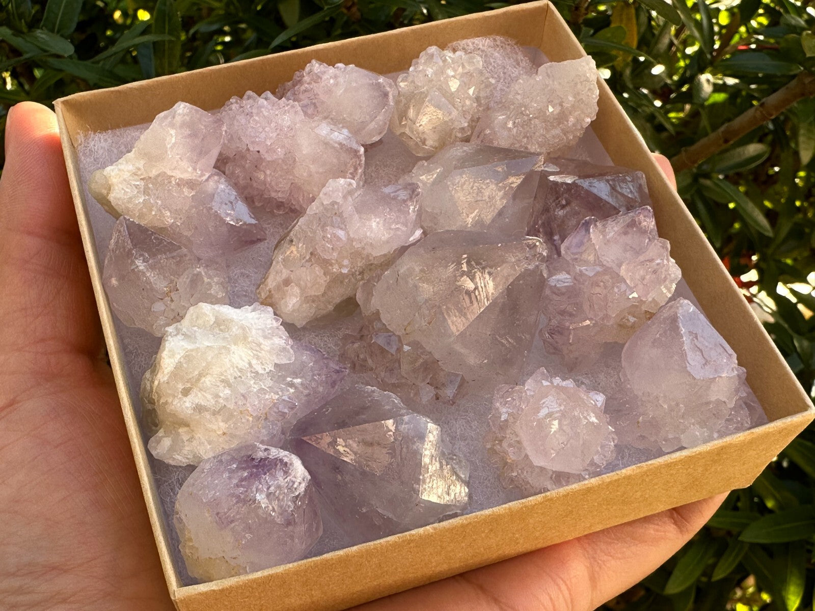 Spirit Quartz Clusters Crystal Collection Box: 6 - 7 oz Box Lot, 11 - 14 Pieces