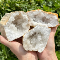 MASSIVE Sugar Quartz Geodes - Natural Crystal Geode Specimens From Morocco