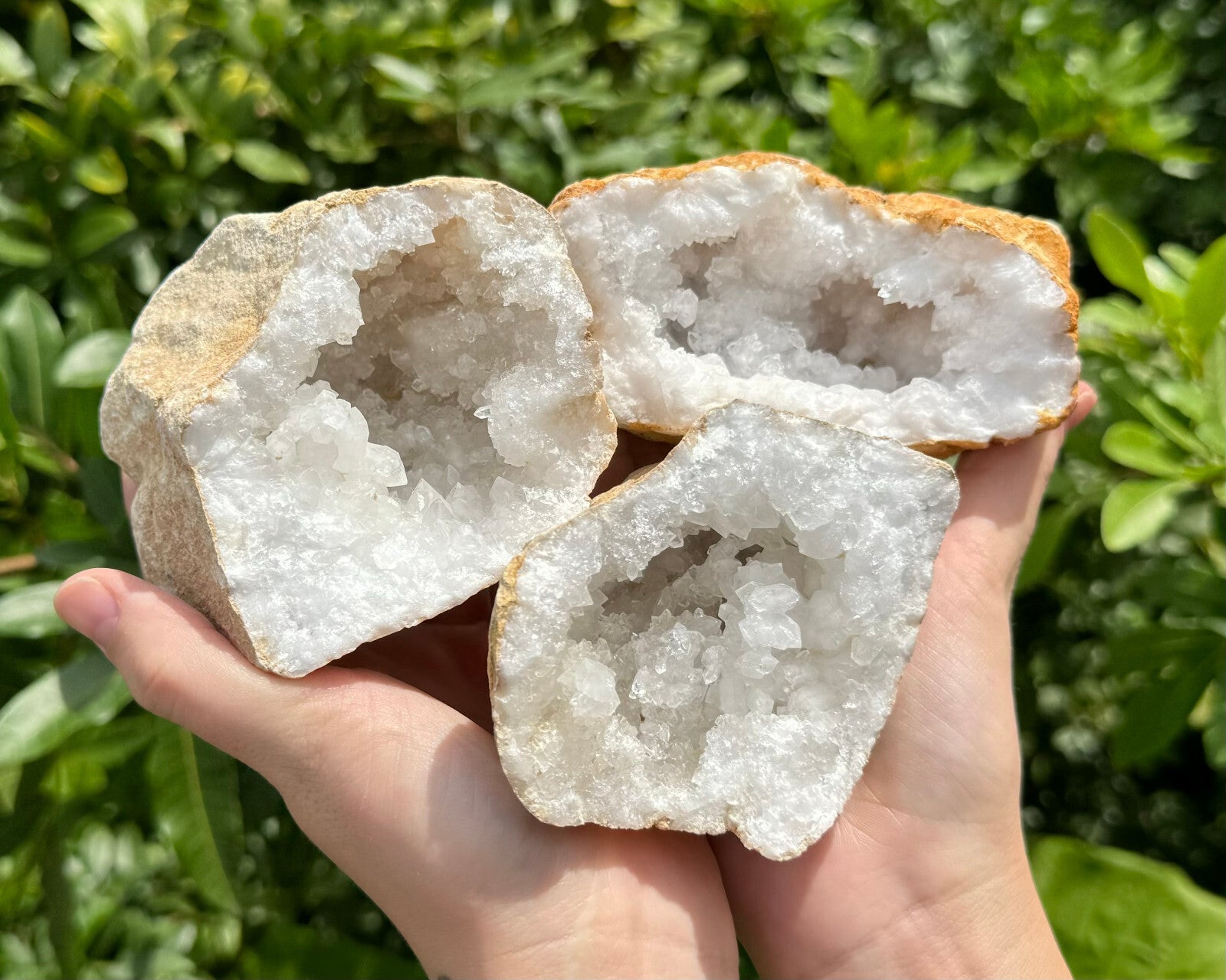 MASSIVE Sugar Quartz Geodes - Natural Crystal Geode Specimens From Morocco