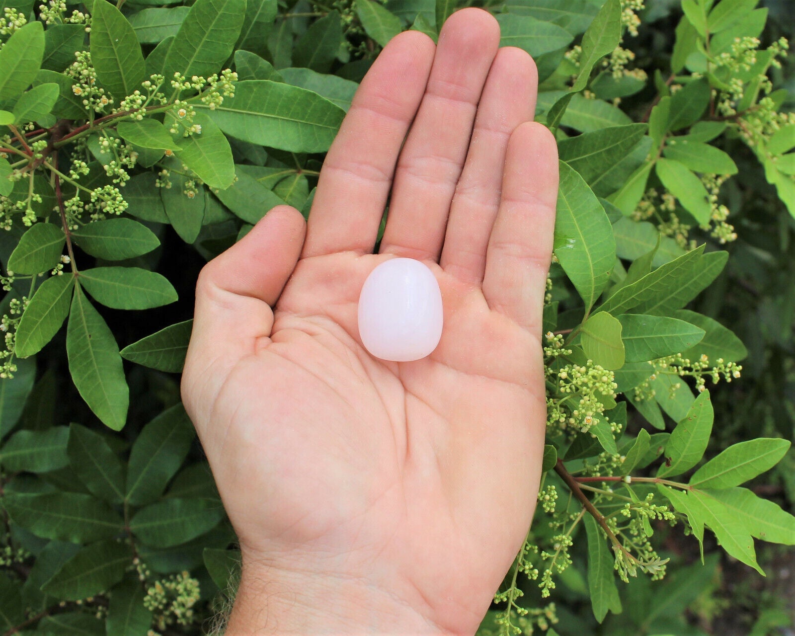 1 x Tumbled Stones : You Choose Type - Huge Range - ON SALE! (Crystal Healing)