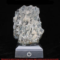 Rare Coral Chalcedony 266g Unique Mineral Specimen from India