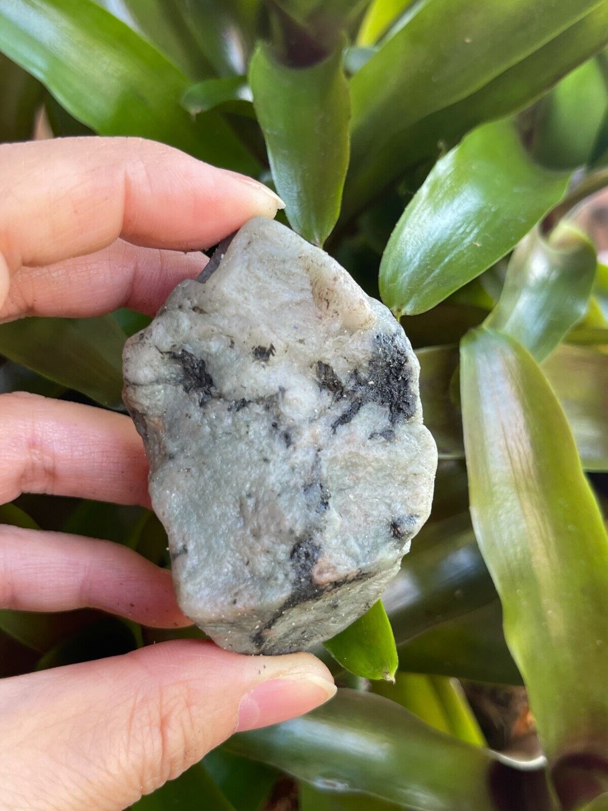 Grade A++ Large Emerald Rough Stones, 2 - 3 Inch Raw Emerald, Wholesale Bulk Lot