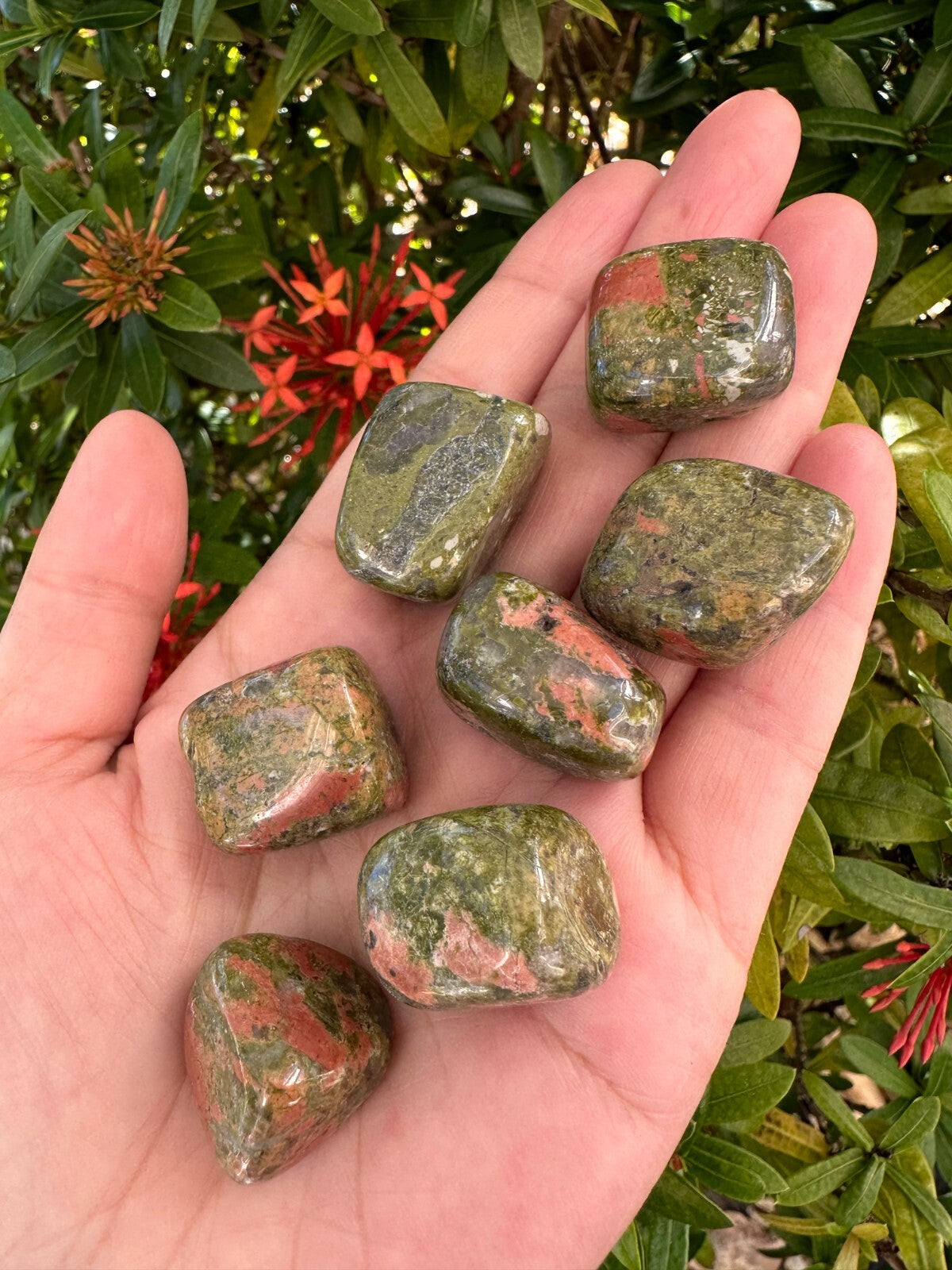 Grade A++ Unakite Tumbled Stones, 0.75-1" Tumbled Unakite Stone, Wholesale Bulk