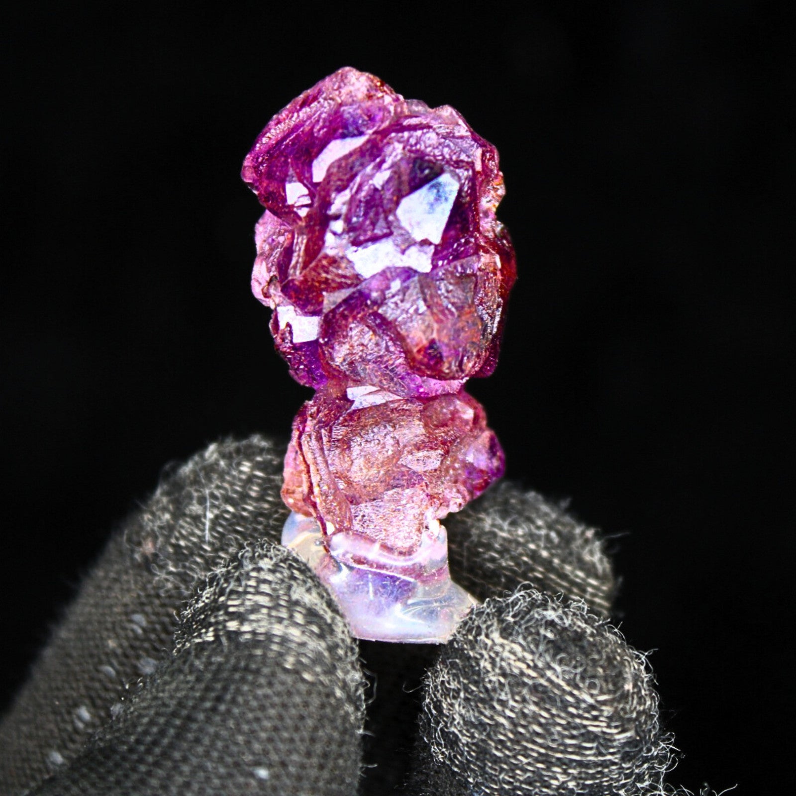 Rare Dark Purple Amethyst Crystal 16g – High-Grade Mini Collector Specimen