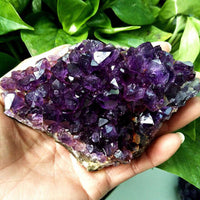 Large Natural Amethyst Cluster Quartz Crystal Druzy Geode Healing Stone Specimen