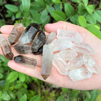 1/2 lb Bulk Smoky Quartz & Clear Quartz Crystal Collection Box (Natural Points)