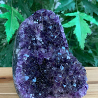 Finely Polished Uruguay Deep Purple Amethyst Cluster Crystal Geode, Pick a Size
