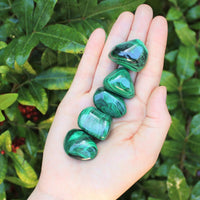 5 MEDIUM Malachite Tumbled Stone (Crystal Healing Reiki Gemstone Metaphysical)