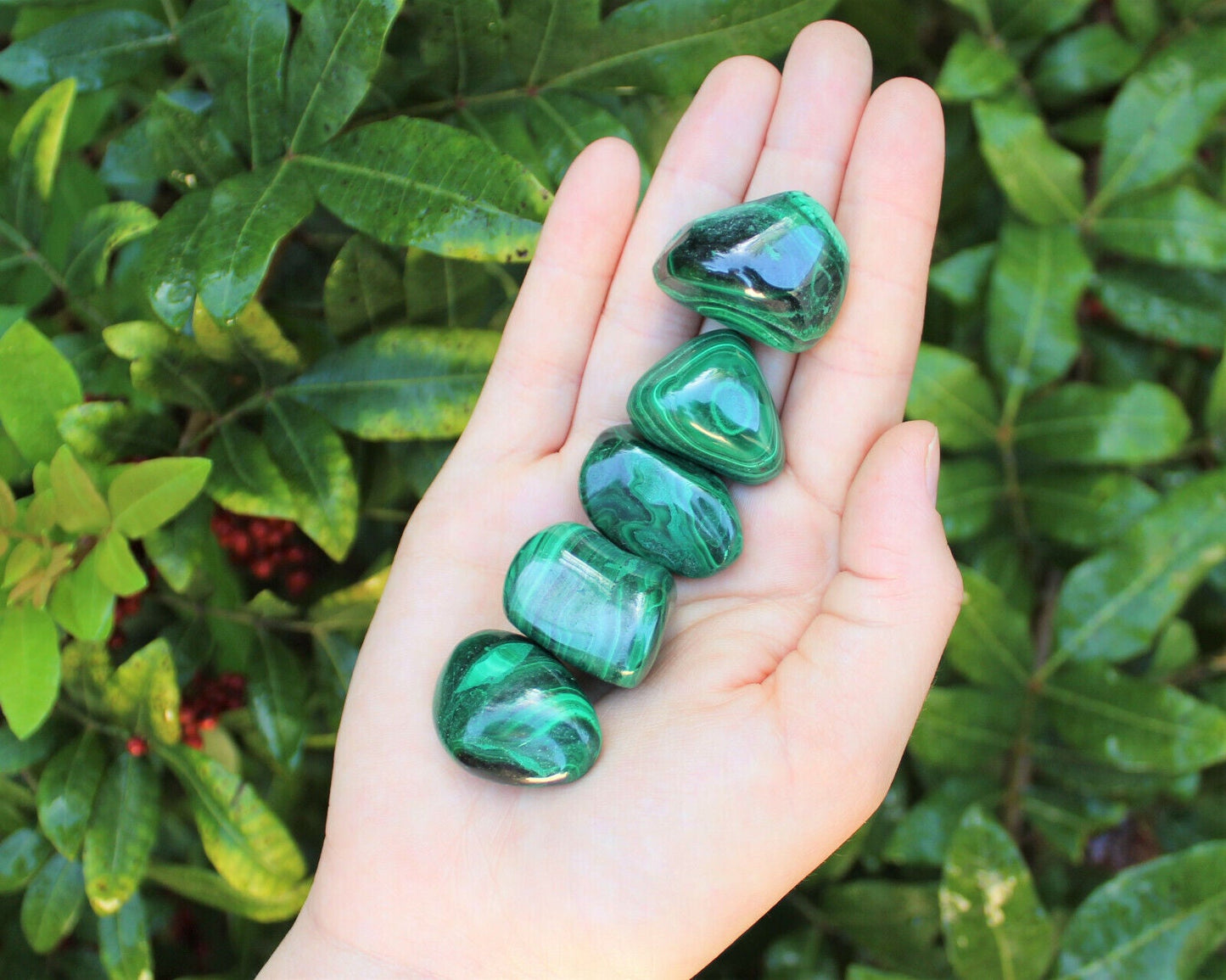 5 MEDIUM Malachite Tumbled Stone (Crystal Healing Reiki Gemstone Metaphysical)