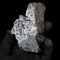 Rare Coral Chalcedony Crystal 290g Botryoidal Mineral Specimen India