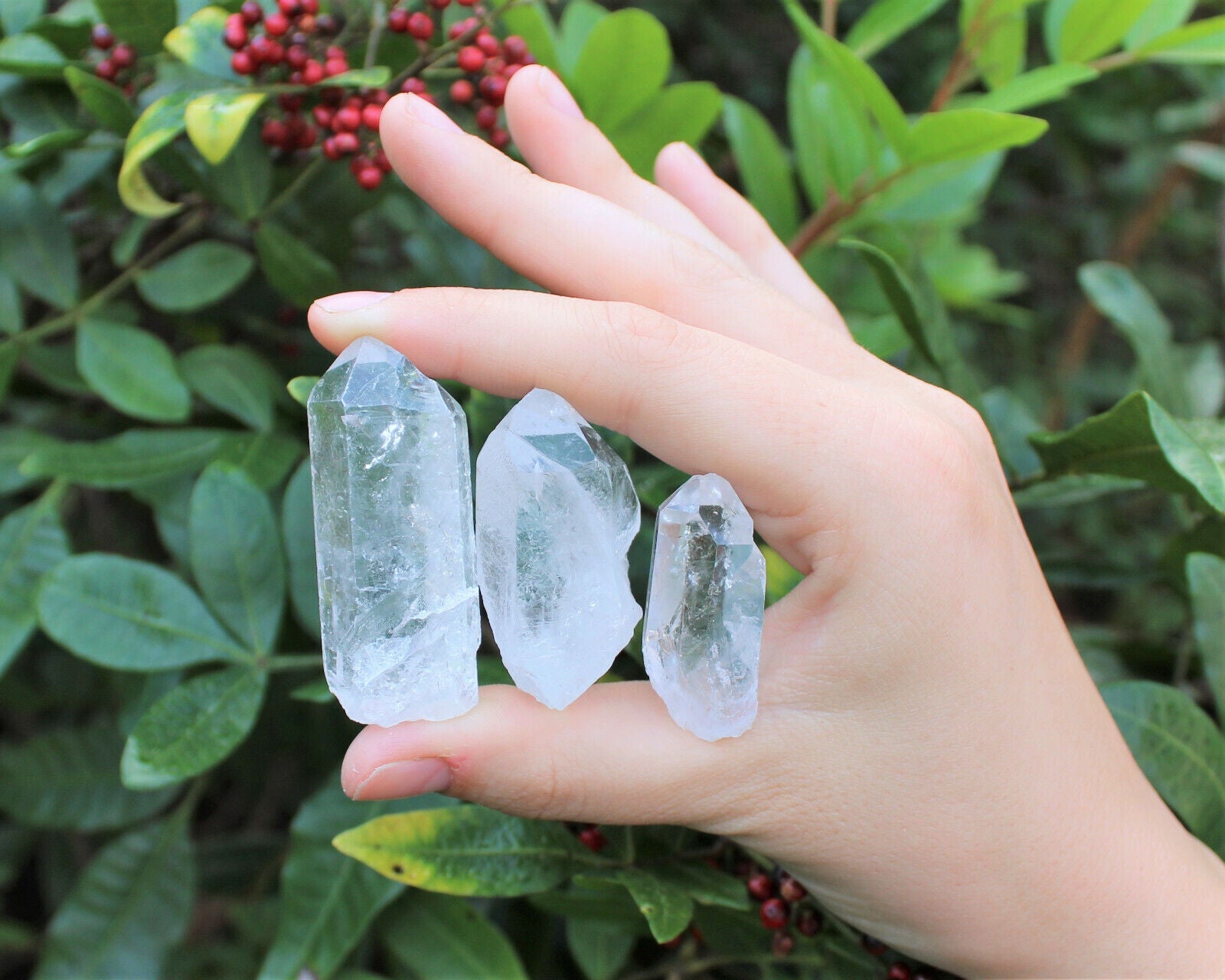 Lot of 3 LARGE Clear Quartz Point Crystals: 1" - 1.5" Crystal Points (US Seller)