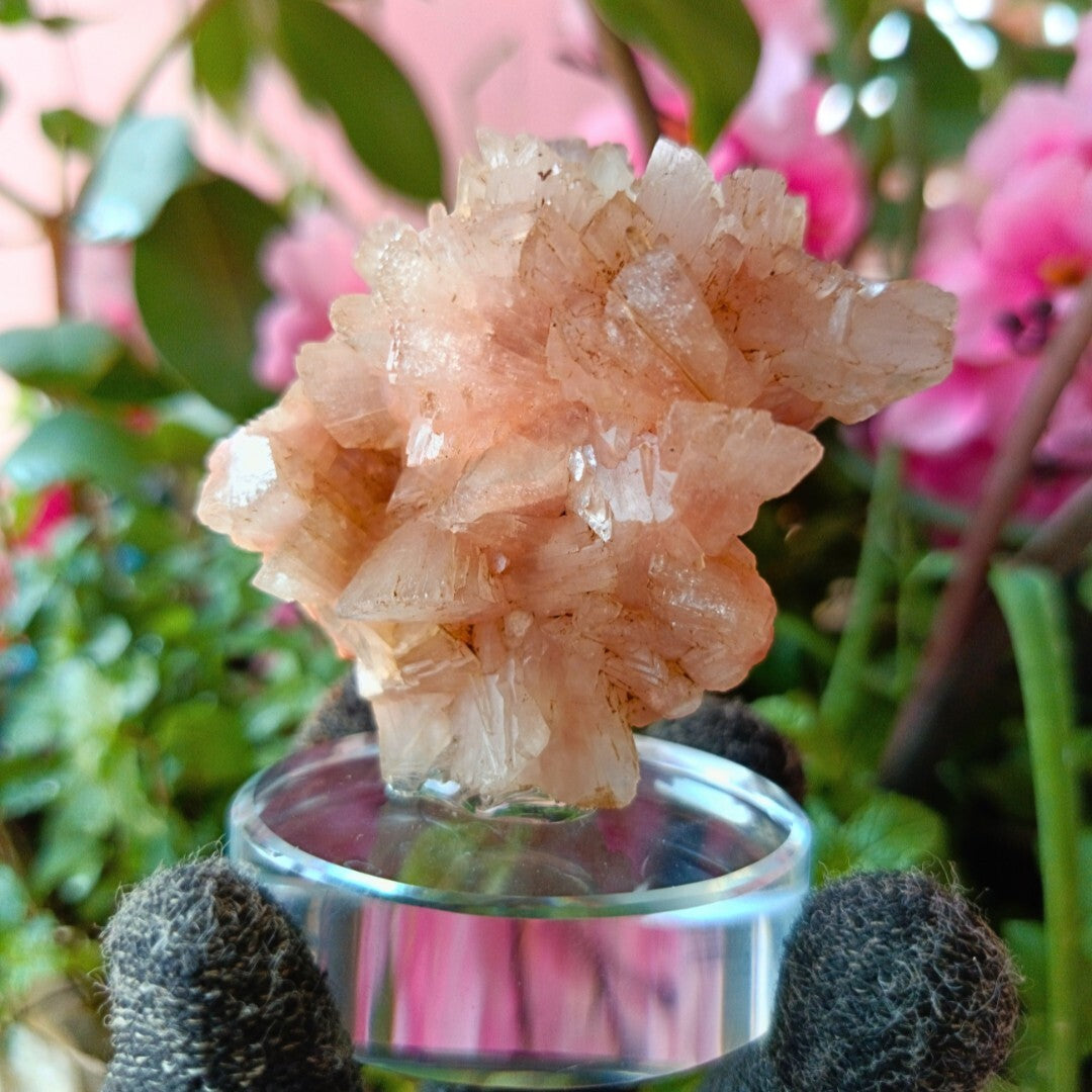 Natural Stilbite & Heulandite Cluster 155g Calming Energy Healing Crystal