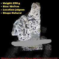 Rare Coral Chalcedony Crystal 290g Botryoidal Mineral Specimen India