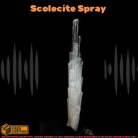 Natural Scolecite Cluster 4g White Zeolite Mini Crystal from India