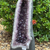 X-Large Amethyst Cathedral, Amethyst Geode,Raw Amethyst Cluster, Pick a Weight