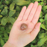 1 x Tumbled Stones : You Choose Type - Huge Range - ON SALE! (Crystal Healing)