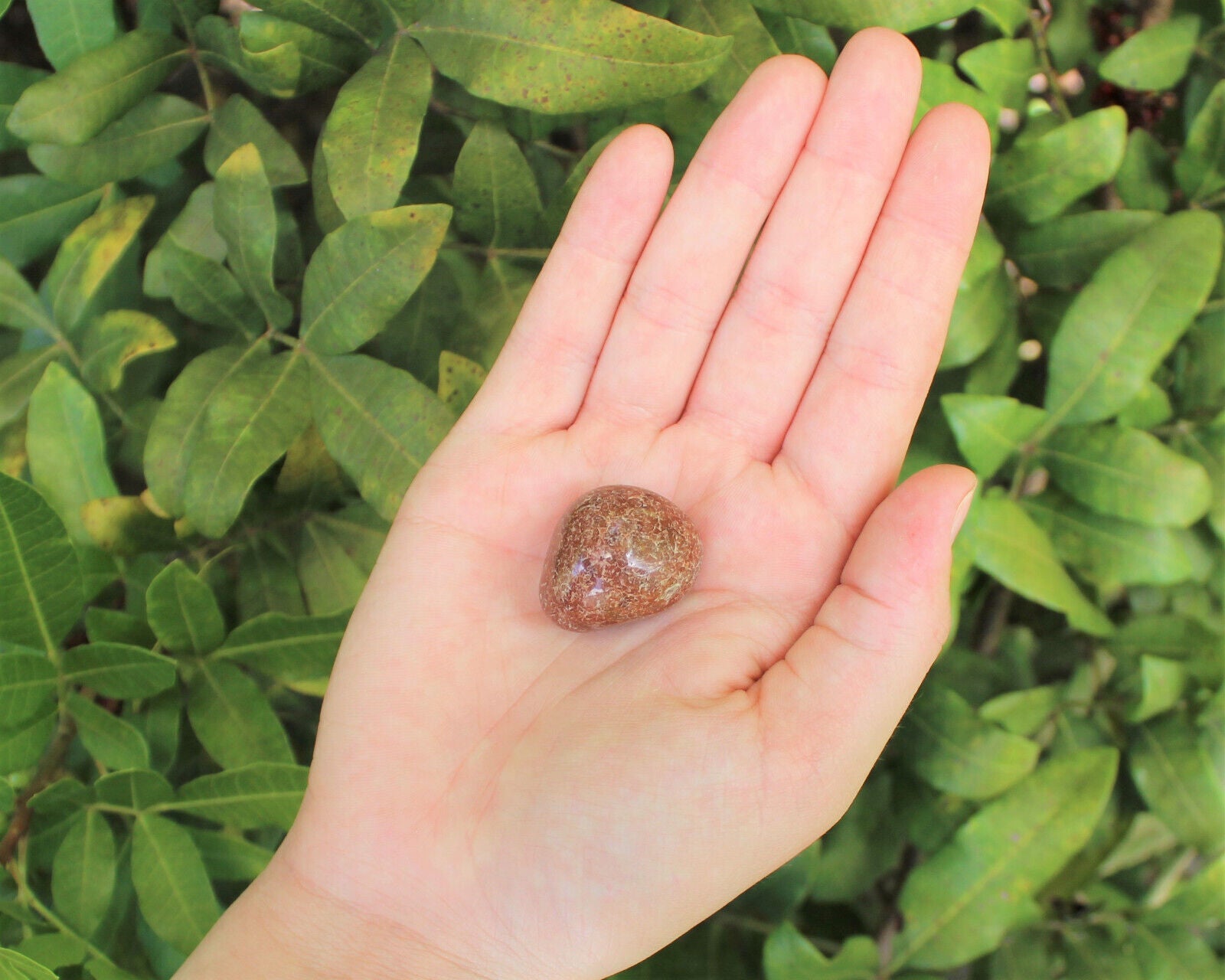 1 x Tumbled Stones : You Choose Type - Huge Range - ON SALE! (Crystal Healing)