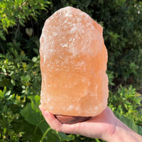 LARGE Natural Himalayan Salt Lamp, 8" Salt Rock Lamp + Chord/Bulb (Crystal Lamp)