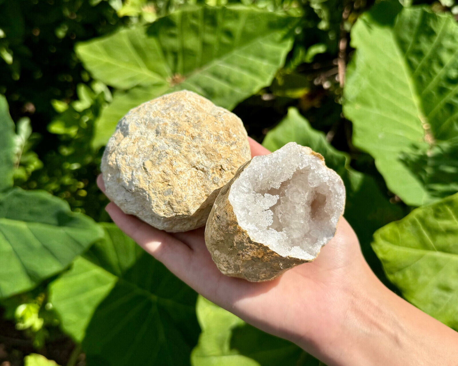 JUMBO Break Your Own Geodes Wholesale Lots - Unopened Moroccan Calcite Crystals