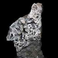 Rare Coral Chalcedony Crystal 290g Botryoidal Mineral Specimen India