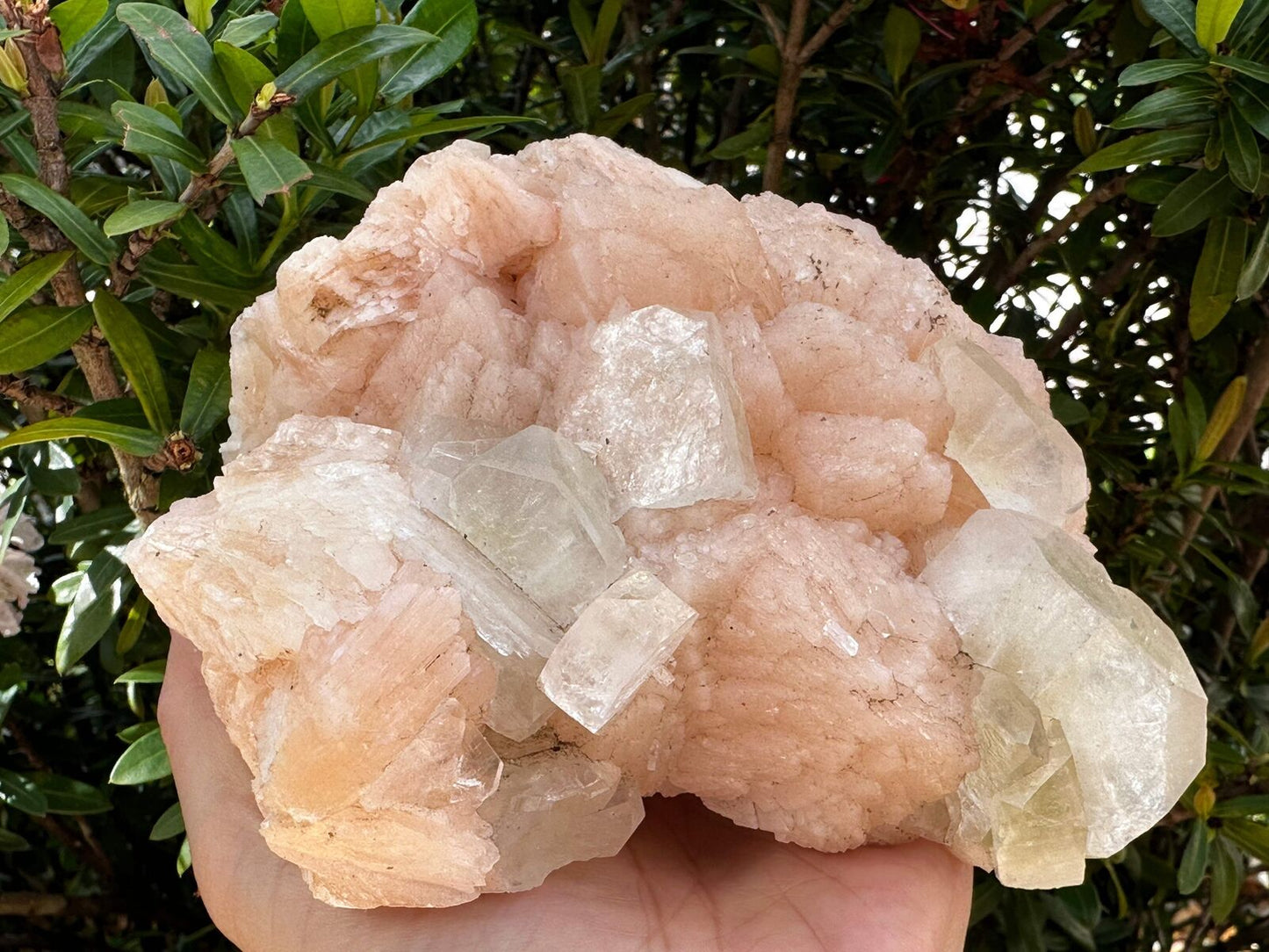 Apophyllite & Stilbite Crystal Cluster 3-8", Apophyllite Cluster with Inclusions