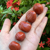 Grade A++ Red Jasper Tumbled Stones, 0.8"-1.25" Tumbled Red Jasper,Pick How Many