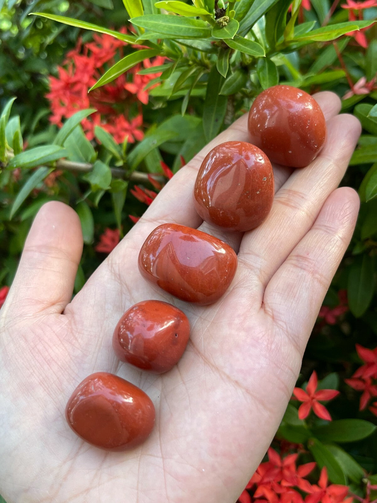 Grade A++ Red Jasper Tumbled Stones, 0.8"-1.25" Tumbled Red Jasper,Pick How Many