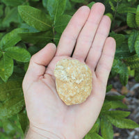 Break Your Own Geodes | Large Unopened Indian Geodes | Bulk Lot by Pound