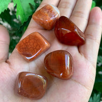 1/2 Lb Lot Tumbled Stones, 0.75-1.25" Crystal Healing Stones, Choose Stone Type