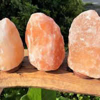 LARGE Natural Himalayan Salt Lamp, 8" Salt Rock Lamp + Chord/Bulb (Crystal Lamp)