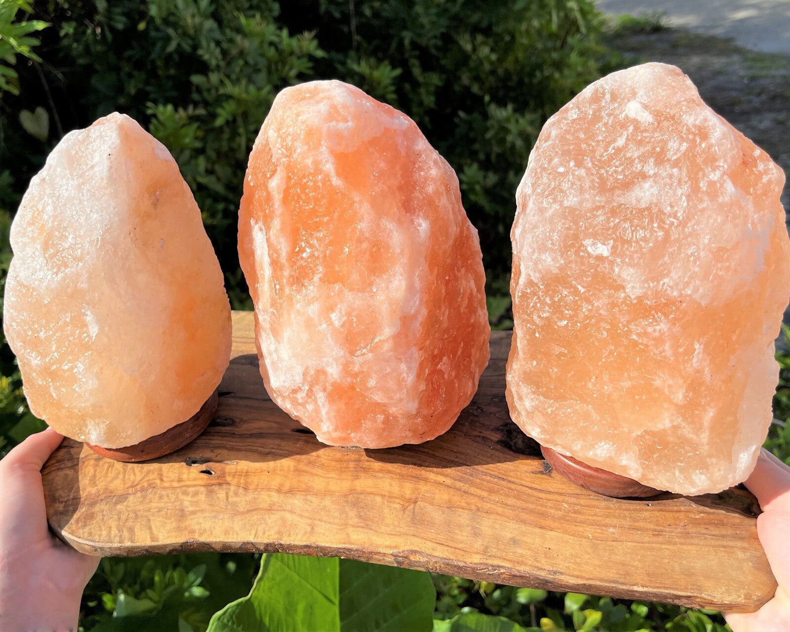 LARGE Natural Himalayan Salt Lamp, 8" Salt Rock Lamp + Chord/Bulb (Crystal Lamp)